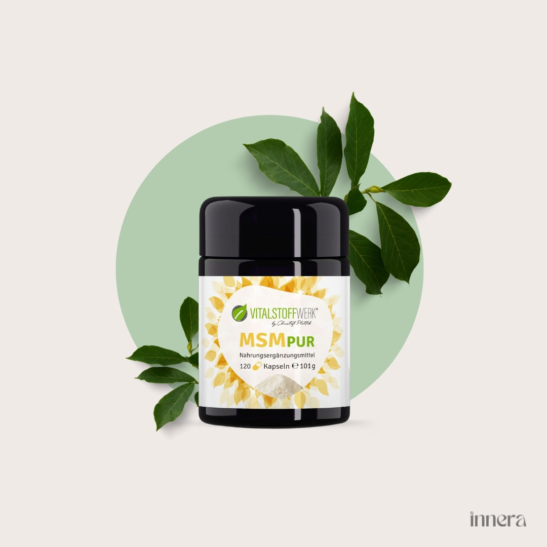 MSM Pur, 120 Kapseln