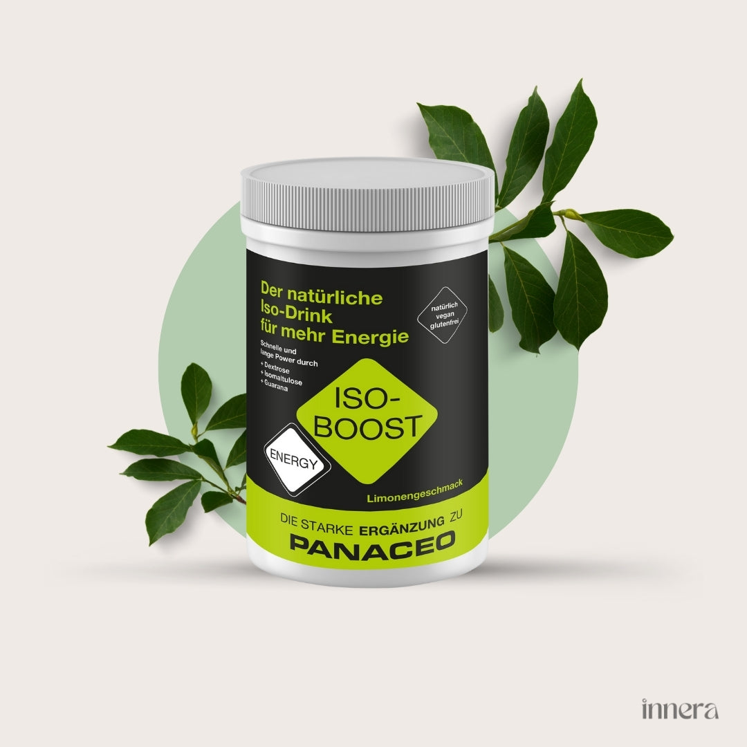 PANACEO ENERGY ISO-BOOST 400g Pulver