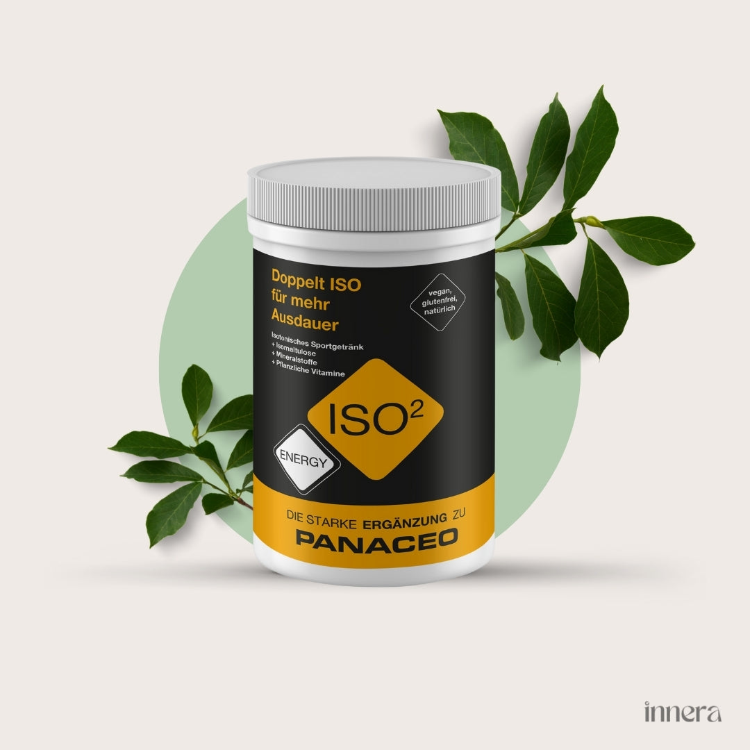 PANACEO ENERGY ISO² Drink 400 g