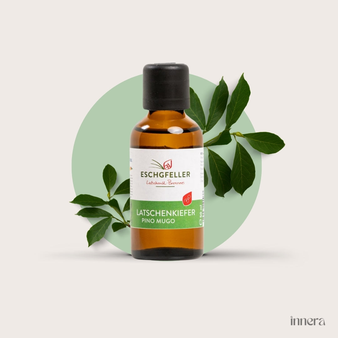 Latschenkiefer, ätherisches Öl, 10 ml