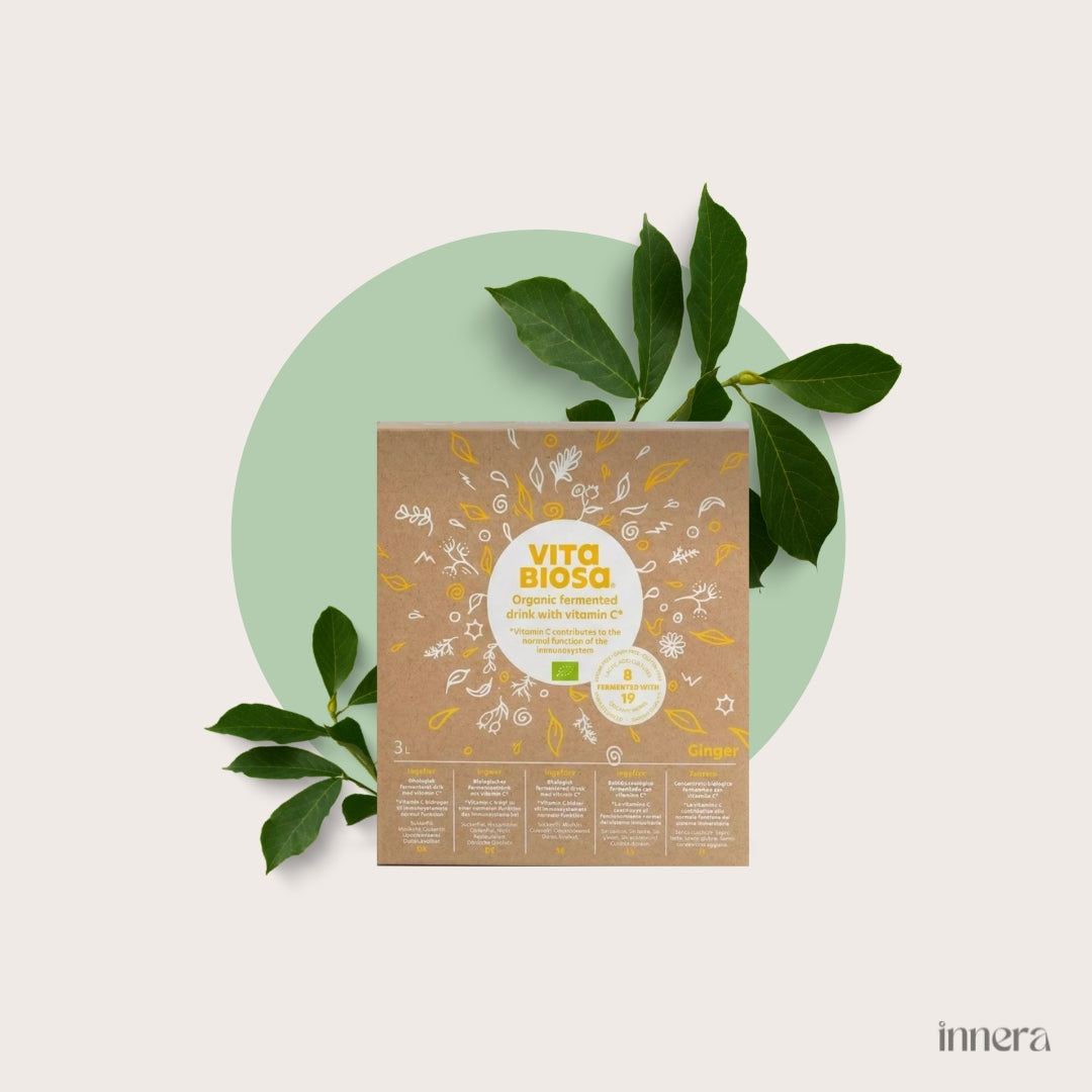 Vita Biosa Ingwer + Vitamin C (bio)
