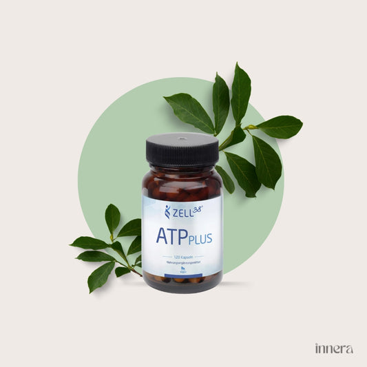ATP plus, 120 Kapseln