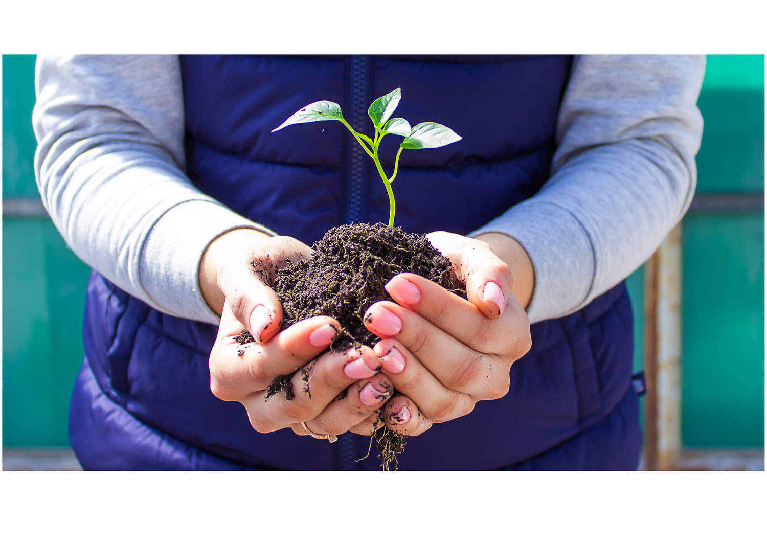 Über innera - Hintergrundbild mit Naturmotiv 