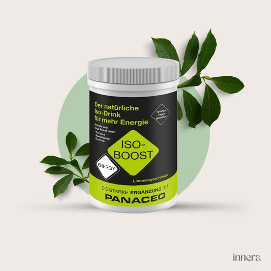 PANACEO ENERGY ISO-BOOST 400g Pulver
