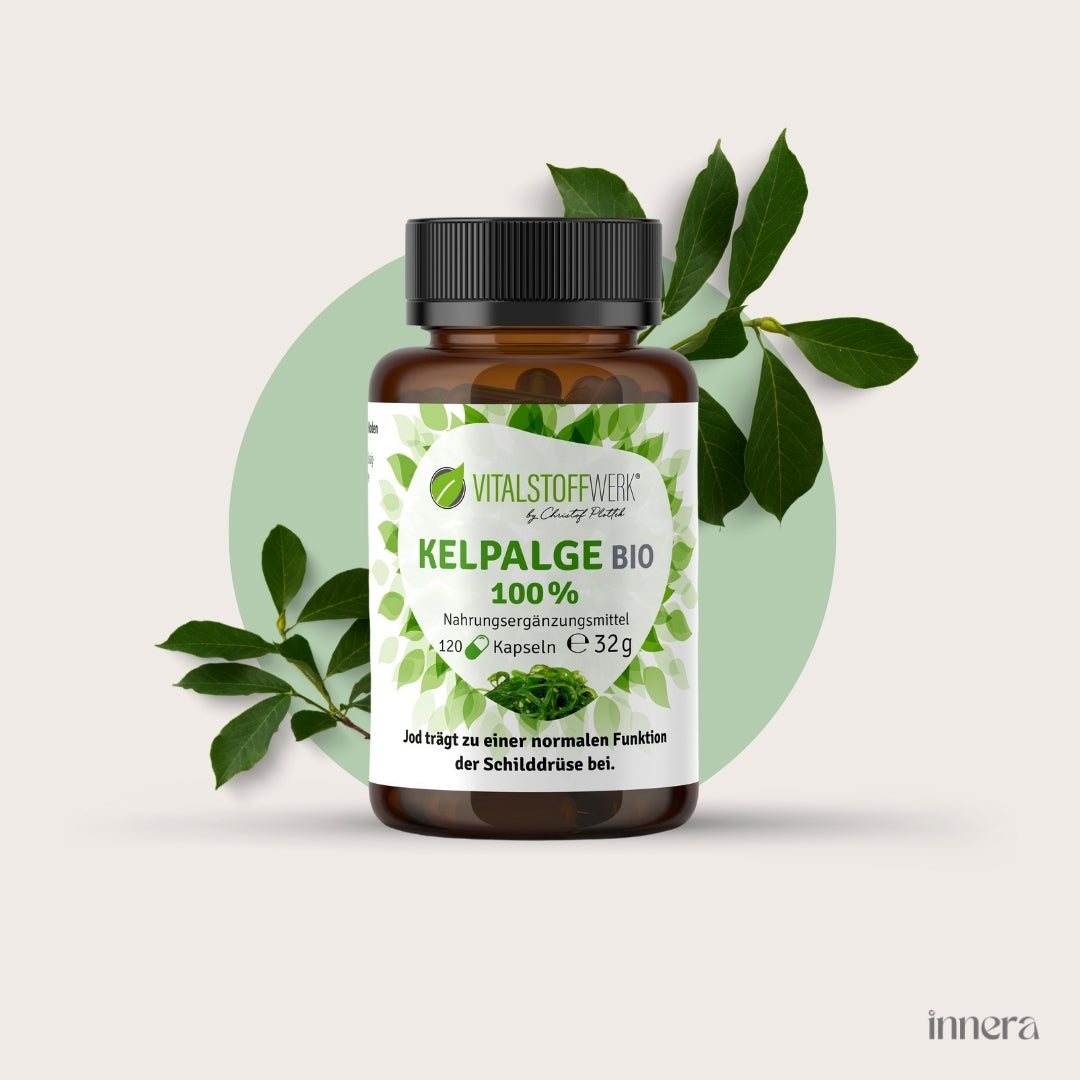 Kelpalge (natürliches Jod), 120 Kapseln