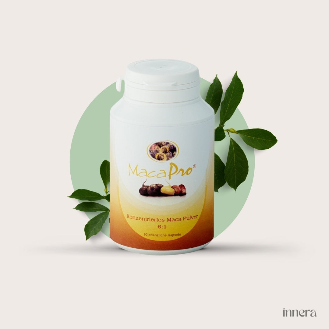 Konzentriertes Maca Pulver 6:1, 120g
