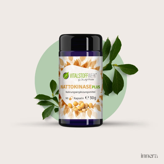Nattokinase Plus, 90 Kapseln