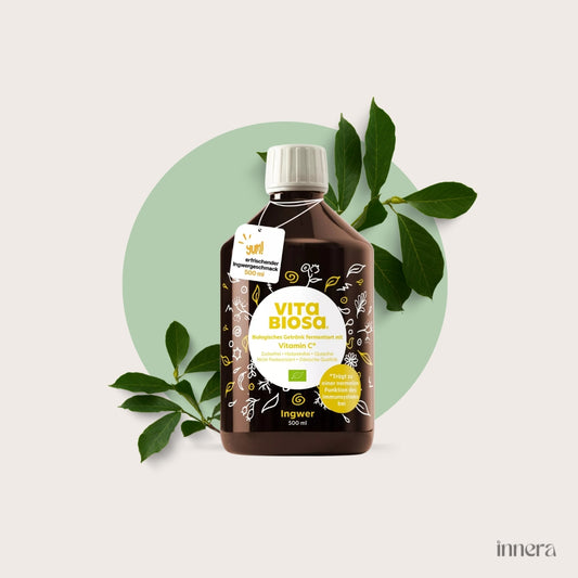 Vita Biosa Ingwer + Vitamin C (bio)