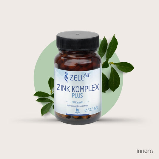 Zink Komplex Plus, 60 Kapseln